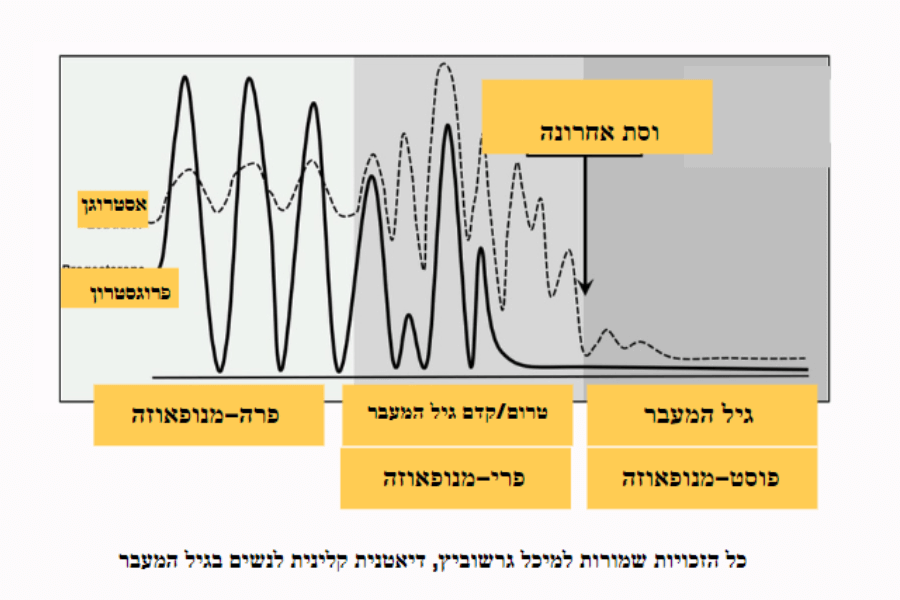 גרף של הורמונים שמשתנים בגיל המעבר